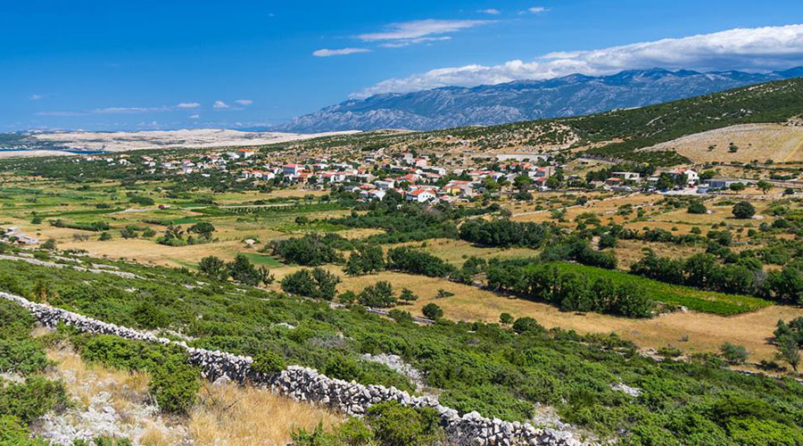 Odluka o proglašenju sajamskih dana na području Općine Kolan
